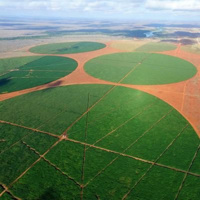 The Galana Kulalu food security project was established by the Kenyan government, to find the best way to grow maize in Kenya.  We are doing IT!