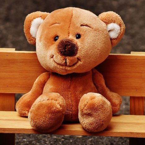 Salut moi c’est Teddy, Ted pour les intimes.. Filles ou garçons, on ne va pas se mentir j’sais que vous kiffez les peluches