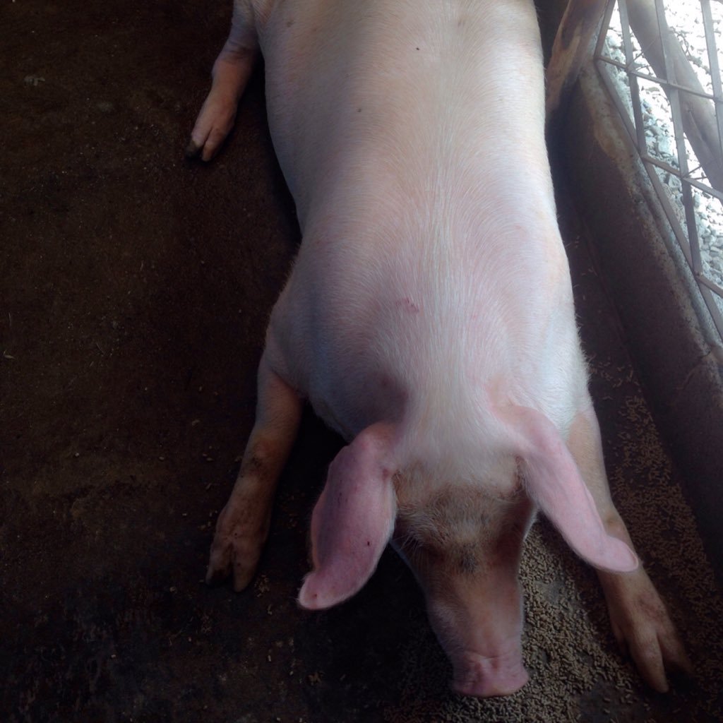 Popdata21's profile picture. 