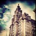 Scouser & her phone (@scouser_phone) Twitter profile photo