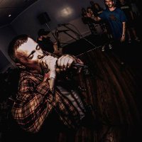 Servants (@servantsne) 's Twitter Profile