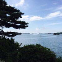 くま (@km_ikbrf) 's Twitter Profile