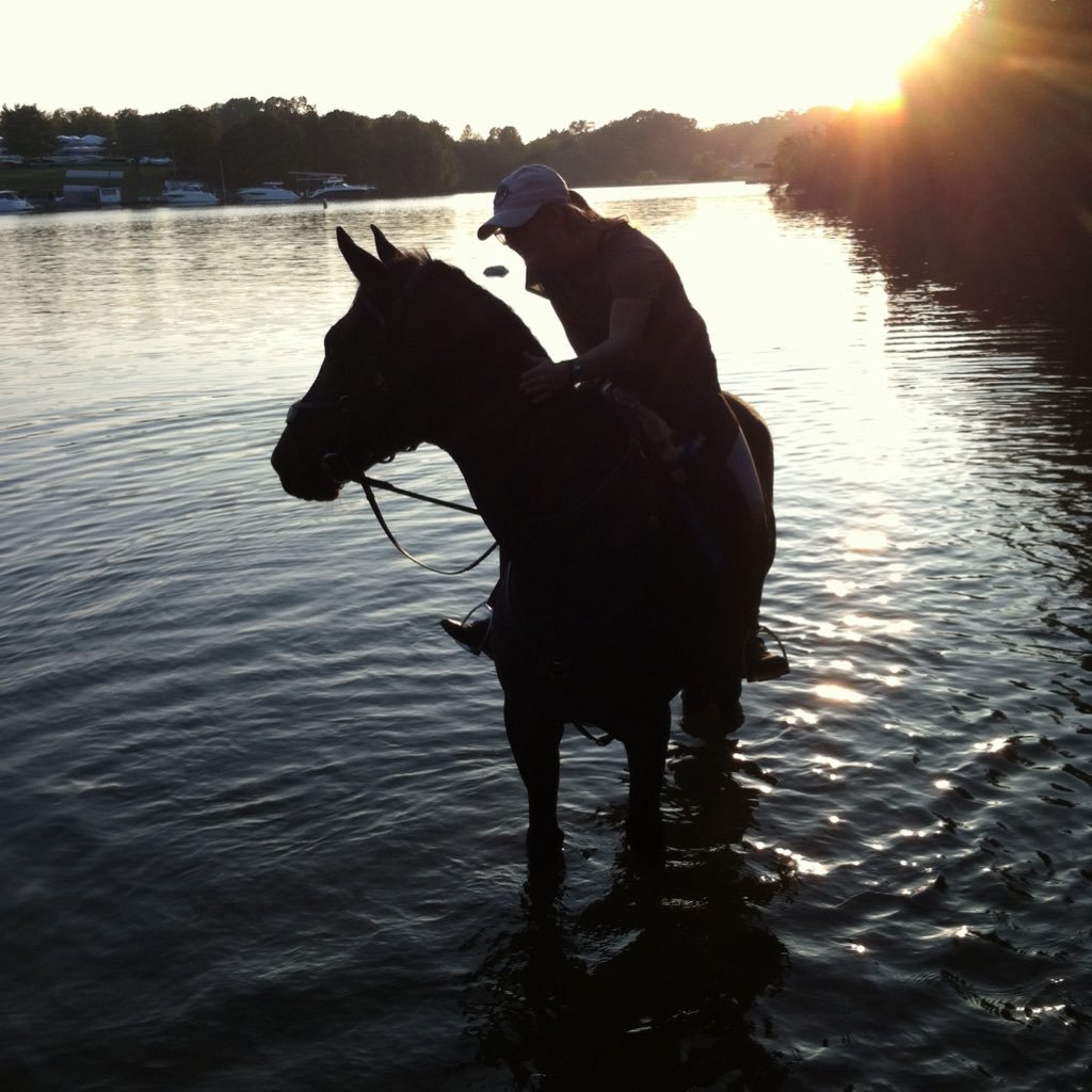 Equestrimeme's profile picture. Eventer at heart, but a casual rider by bank account. I used to have the worlds greatest horse named Truman.