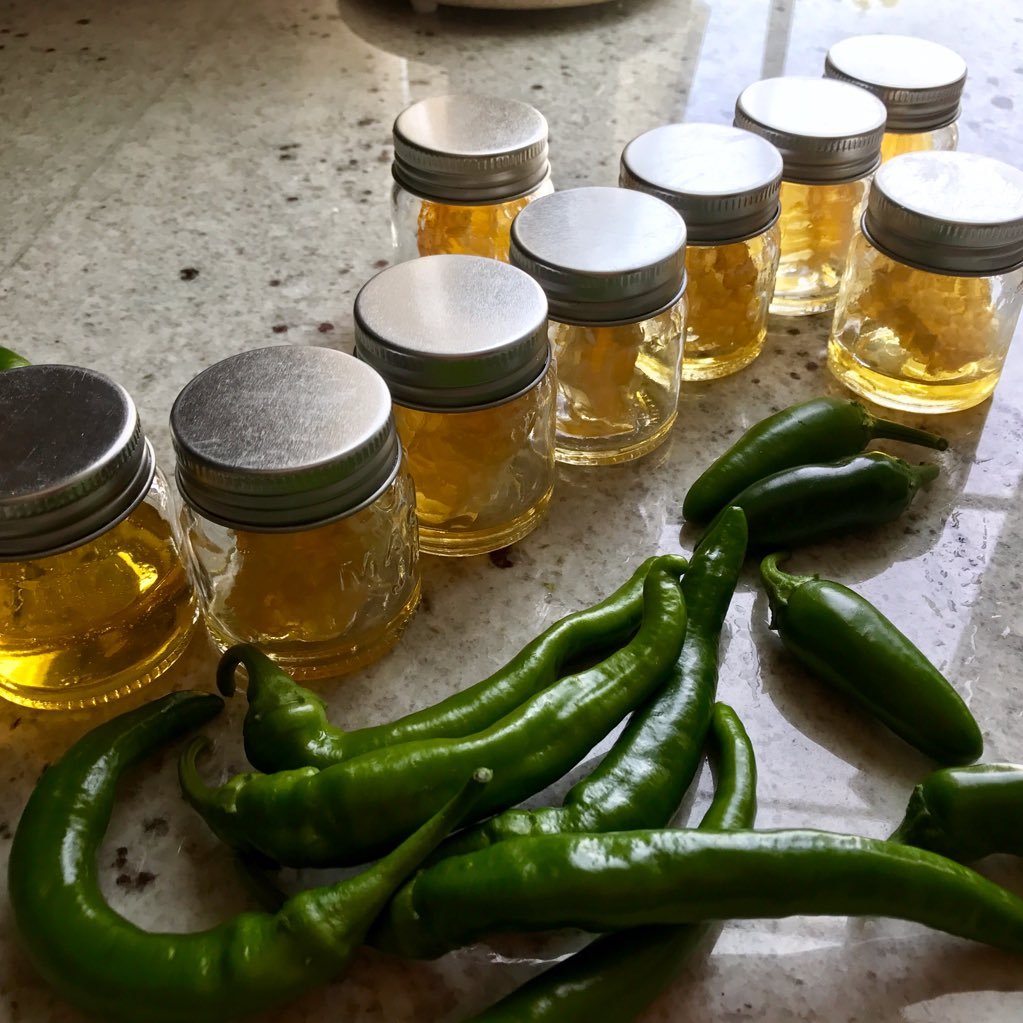 Katyoparty's profile picture. 