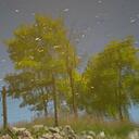 Anna Taber - @Arbet156 - Twitter