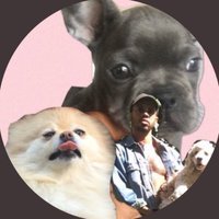 Jordan Clark (@howyouyougood) 's Twitter Profile Photo