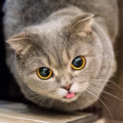 依頼垢です