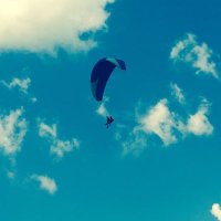 Dimitri Op de Beeck (@dimitri_odb) 's Twitter Profile