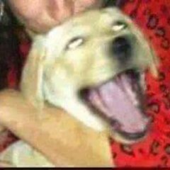 Tsdb7's profile picture. #IDIOTAREGISTRADO