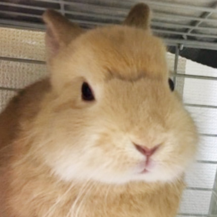 でっぱちゃん♂さんのプロフィール画像
