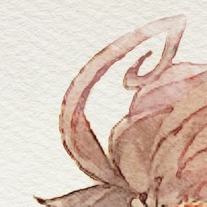 茶たまさんのプロフィール画像