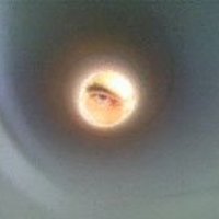 Luca (@tomcat976) 's Twitter Profile