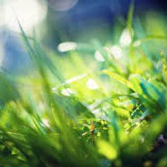 bits_viral's profile picture. 