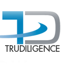 TruDiligence is a full service background check firm specializing in employment and tenant screening   25 years of untarnished business experience.