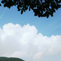 あけみ (@cotonthermique) 's Twitter Profile Photo