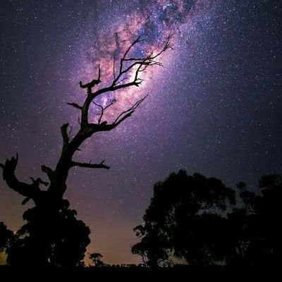 ilearntolove's profile picture. 