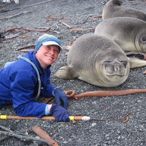 #veterinarian #marine #marinemammals #conservation #trophicecology #seals #furseals #research #oceanlover #zoology #ecology