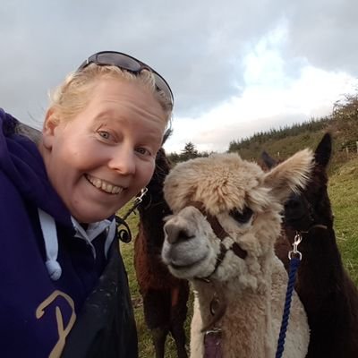 MoorViewAlpacas's profile picture. 