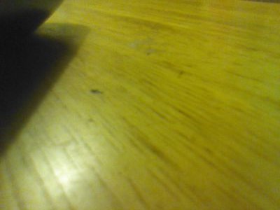 catherinecruz's profile picture. Child of the King. His name is Jesus.