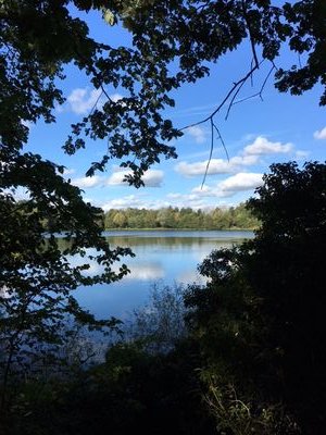 JillDou36664692's profile picture. 