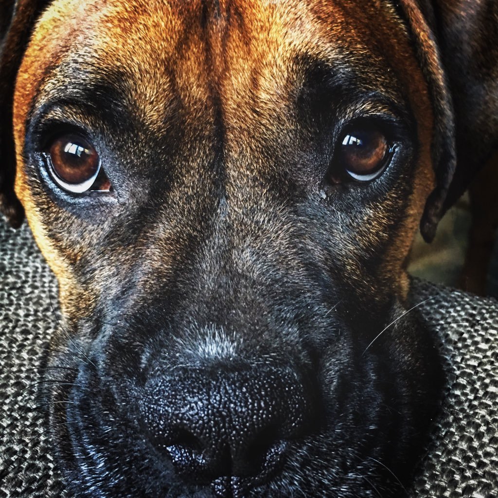 WigglzArt's profile picture. Art Music Arts & Culture