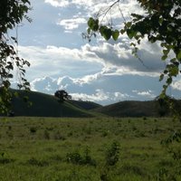 Hector Hernandez (@hectorh8385) 's Twitter Profile