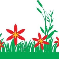 ColemansGardenCentre (@colemansgc) 's Twitter Profile