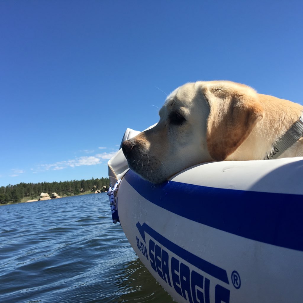 trebermike's profile picture. 