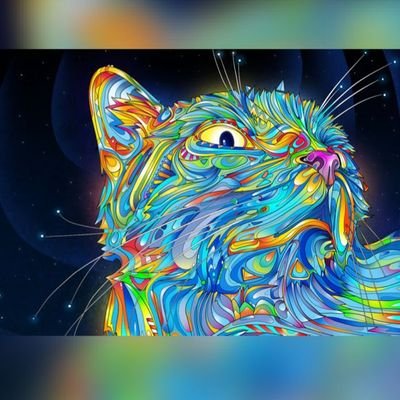 AndresF78980230's profile picture. 