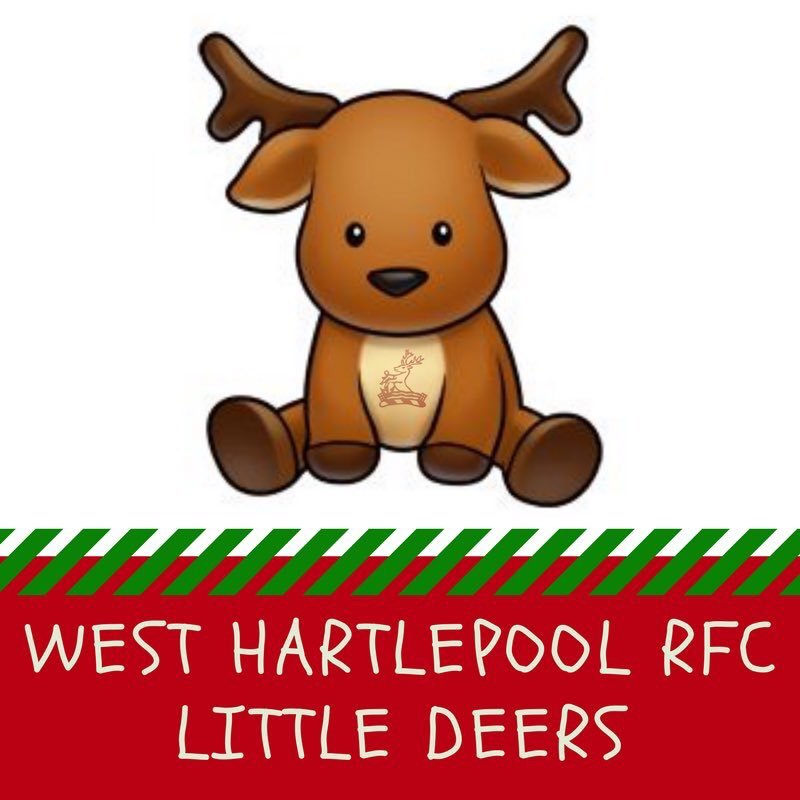 Rugby fun for 2-6 year old girls and boys at West Hartlepool Rugby Club. 9.25 to 10.00 every Sunday morning. Sponsored by Freers Askew Bunting Solicitors