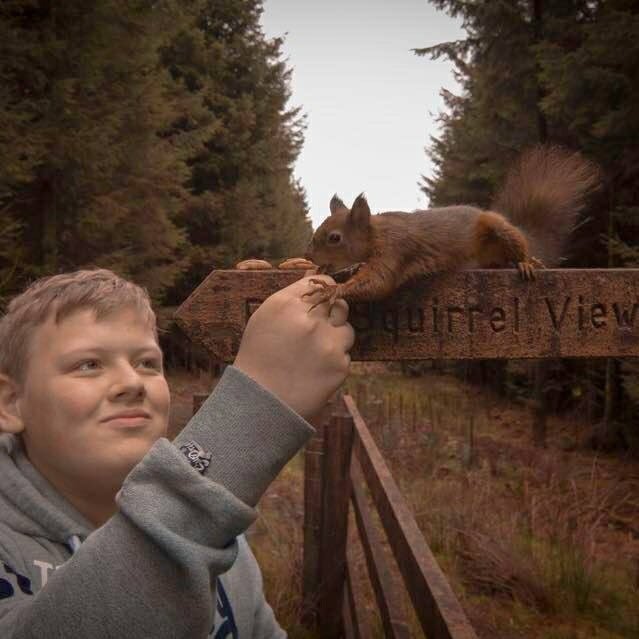 WMaudsley's profile picture. 