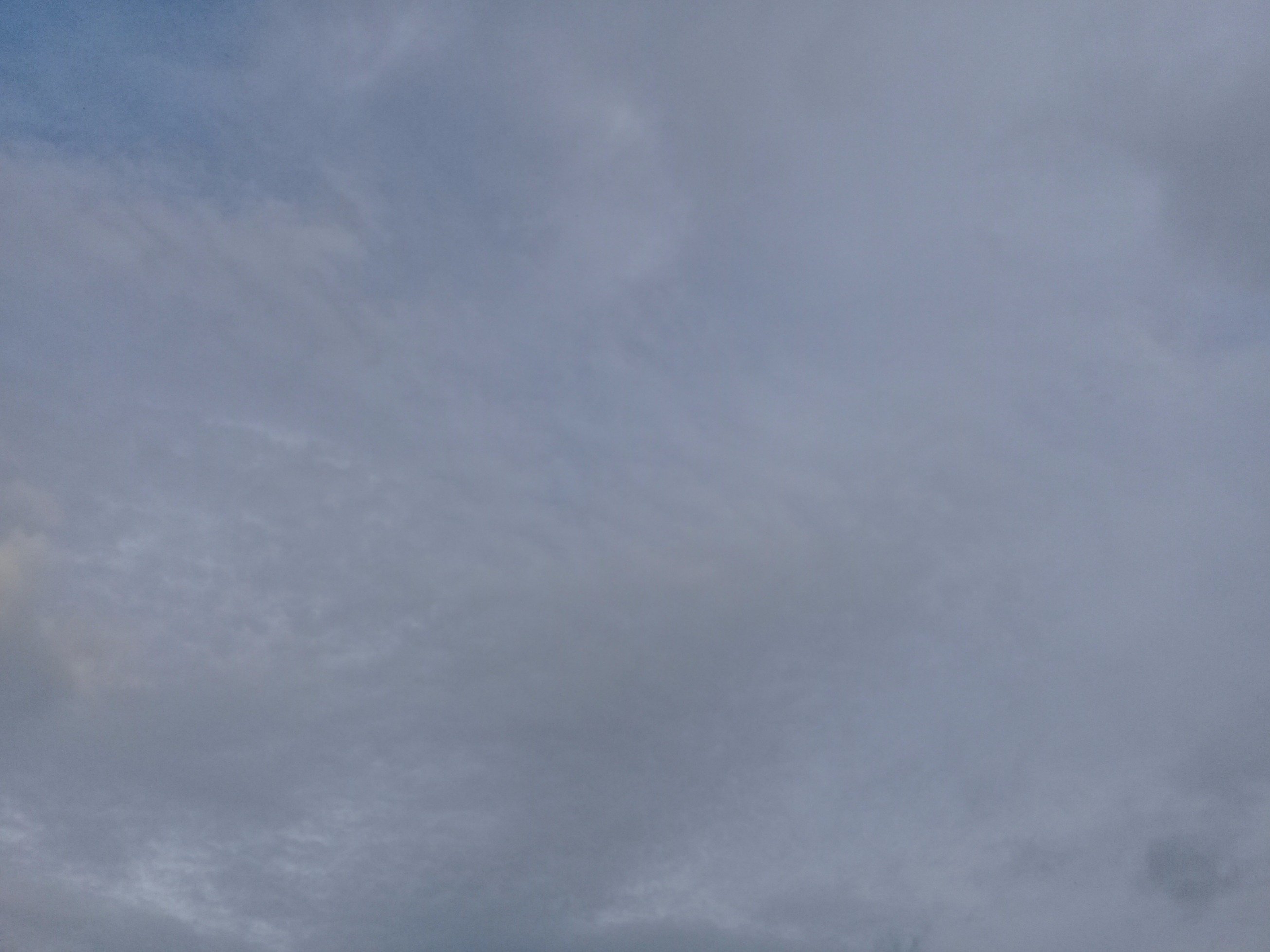 SoyLoopop's profile picture. 