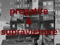 NeoSurvivalist's profile picture. Blog despre pregatirea pentru situatii extreme: dezastre naturale, dezastre sociale, politice sau economice. Alimente, unelte, locuri, metode de supravietuire.