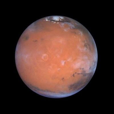 HaughtOnMars's profile picture. Chicken mom.