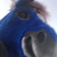 RB Broncos (@rbhsbroncos) 's Twitter Profile
