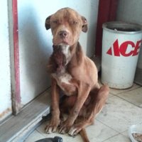 Peggy @ Ace's Legacy (@aces_legacy_) 's Twitter Profile
