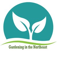 GardeningNE(@GardeningNE) 's Twitter Profile Photo