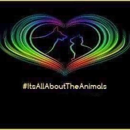 Find us on fb #ItsAllAboutTheAnimals
https://t.co/dnTDTK4SPg