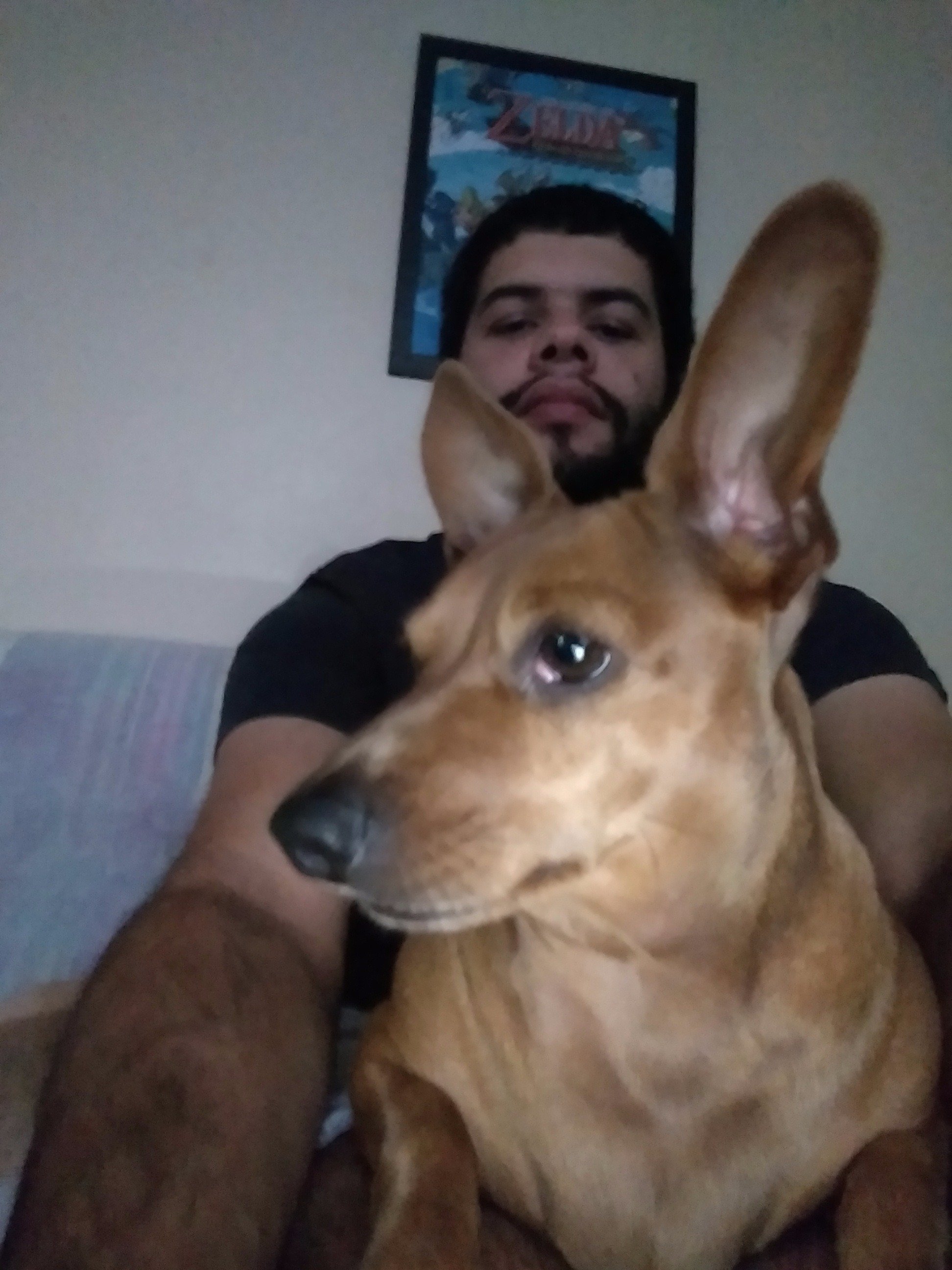 brn_brito's profile picture. 