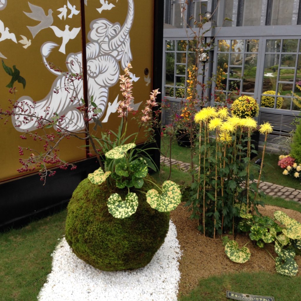 tbs_0305's profile picture. 成人済