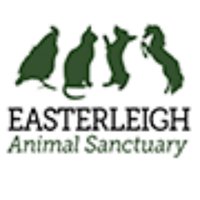 Easterleigh (@easterleigh_as) Twitter profile photo
