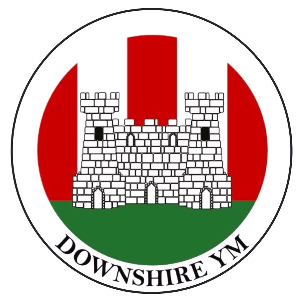 Downshire YM FC from Royal Hillsborough play in Division 1B of the NI Amateur League, reserves in 3D. Downshire Dynamos Youth Teams from 2012 -2016 🔴⚫️⚽️🥅