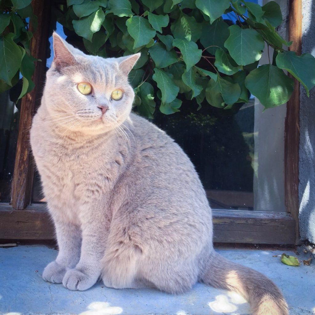 PrettyClover3's profile picture. 