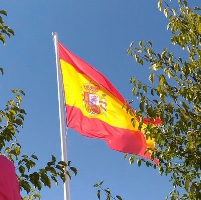 Alcarriap's profile picture. 