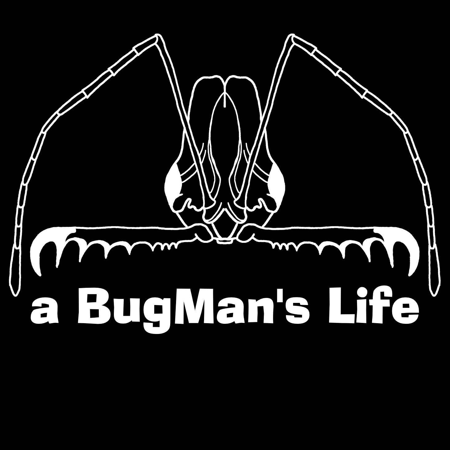 #Entomologist 🐜🐝🦟
#YouTuber📽🎬
Award winning macro #photographer 🏆📷📸
#Aquarist 🐠🐡
#AntKeeper 🐜🐜🐜
#invertkeeper

https://t.co/JvaNY2OKGh