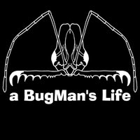 Ludwig Eksteen (@abugmanslife) 's Twitter Profile