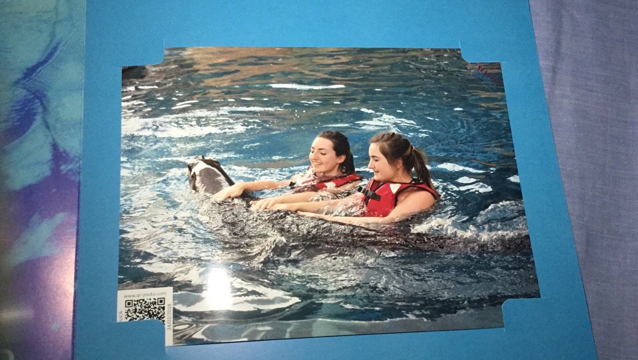 TiaKiely1's profile picture. 