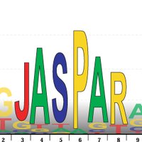 JASPAR database (@jaspar_db) 's Twitter Profile