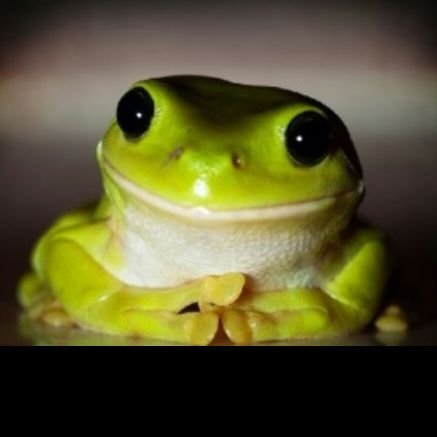 ZRVWfp0EZ1X8rQ1's profile picture. 元自民党党員 
高市早苗総裁となり、公明党と連立離脱した今は全力で自民党を支持。基本保守
国連脱退支持。　　
他にガールズケイリンを応援するあまがえる　
たまに釣りに関するポストも　
プロフィール背景に使用している画像は、中国系投資詐欺サイト誘導アカウントからのスパムに対する御守りです。
DMはご遠慮ください