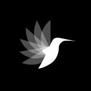 BrightBlackSA's profile picture. Digitally led. Not digitally limited. #DigitalMarketing #SocialMedia #SEO #DataScience #Content #Strategy